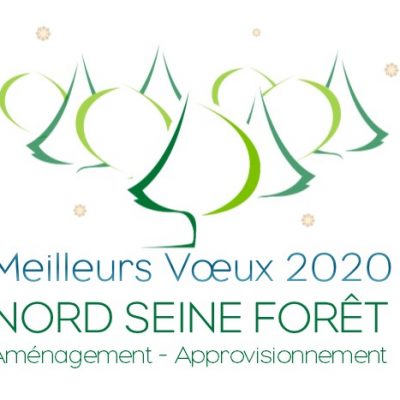 Meilleurs Voeux 2020 - Nord Seine Forêt 2a