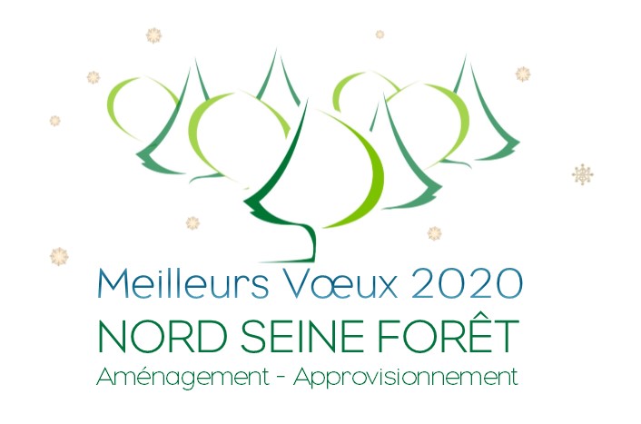 Meilleurs Voeux 2020 - Nord Seine Forêt 2a