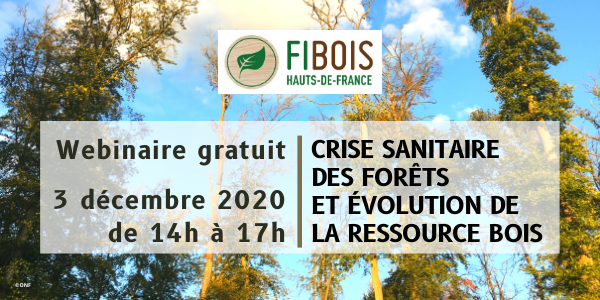 FiBois - Crise sanitaire des forêts et évolution de la ressource Bois